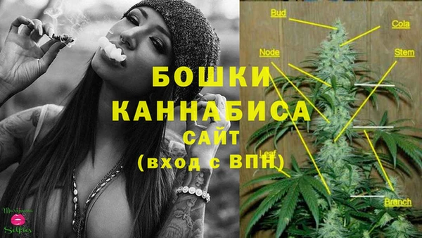 кокс Магас
