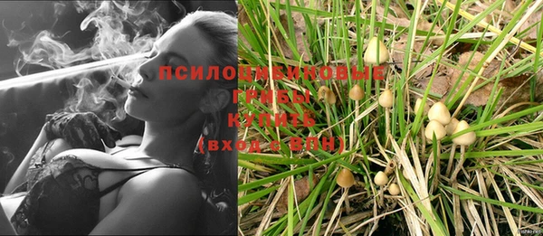 кокс Магас