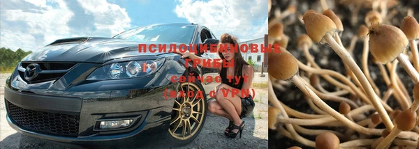 кокс Магас