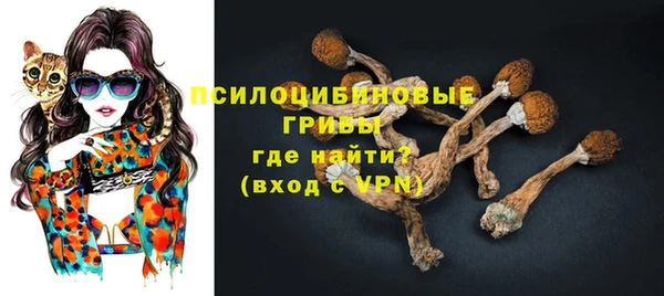 дмт Майский